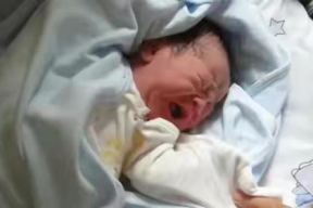 张杰吃瓜爆料视频在线观看,揭秘娱乐圈幕后真相