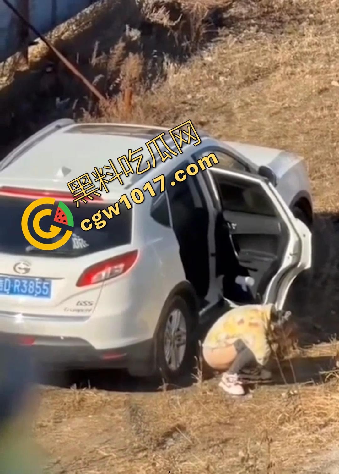 辽源市的吉DR3855 野外车震完整曝光！大屁股后入白嫩晃眼，车主直接社死全国！-6